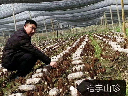 &#31859;&#20848;&#24179;&#21488;&#45;&#31859;&#20848;&#40;&#20013;&#22269;&#41;