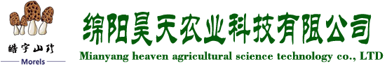 &#31859;&#20848;&#24179;&#21488;&#45;&#31859;&#20848;&#40;&#20013;&#22269;&#41;