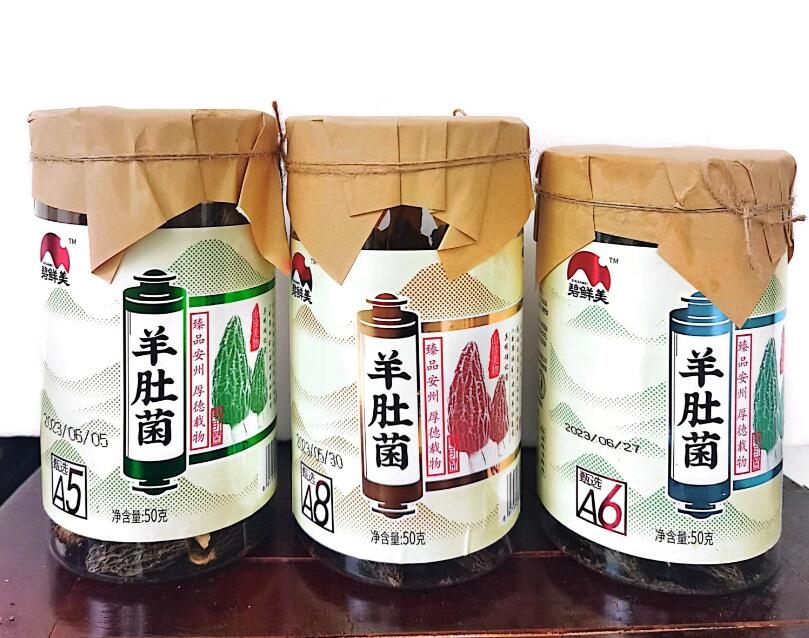 &#31859;&#20848;&#24179;&#21488;&#45;&#31859;&#20848;&#40;&#20013;&#22269;&#41;