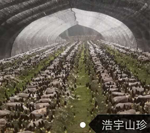 &#31859;&#20848;&#24179;&#21488;&#45;&#31859;&#20848;&#40;&#20013;&#22269;&#41;