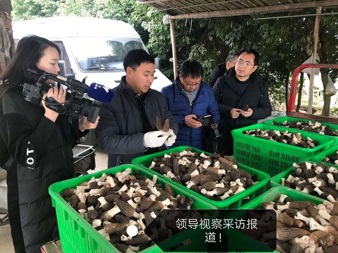 &#31859;&#20848;&#24179;&#21488;&#45;&#31859;&#20848;&#40;&#20013;&#22269;&#41;