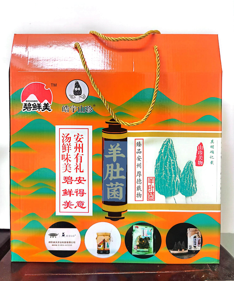 &#31859;&#20848;&#24179;&#21488;&#45;&#31859;&#20848;&#40;&#20013;&#22269;&#41;